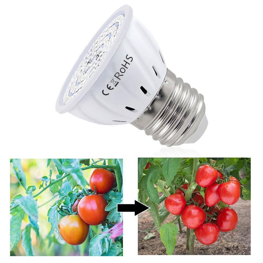 Plant Grow Light Full Spectrum - LED 成長電球 E27 60 80LED フルスペクトル