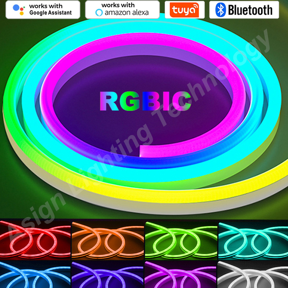 Smart Garden Led Lights - LEDストリップライトRgbic,ネオン,12v,96ダイオード/m,リモコン,Bluetooth,wifi,Tuyaアプリケーション,防水,装飾用