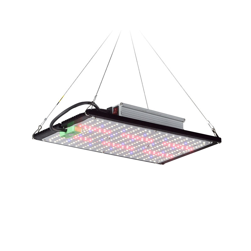 LED量子ボード育成ライト フルスペクトラム 吊り下げ式植物 - Plant Grow Light Full Spectrum のレビューと価格