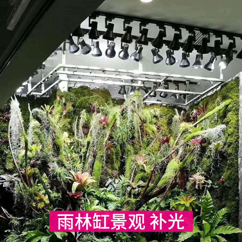 フルスペクトルトラック育成ランプLED植物育成ライト、熱帯雨 - Plant Grow Light Full Spectrum のレビューと価格