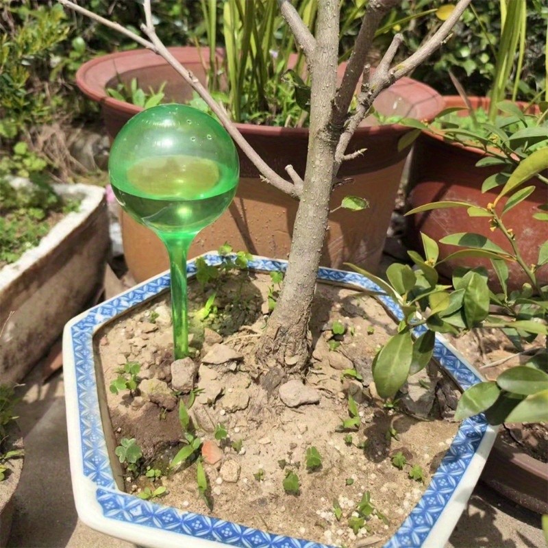 6個入り 室内植物用自動給水ボール 自動植物花水球 ドリップ - Smart Garden Tower のレビューと価格