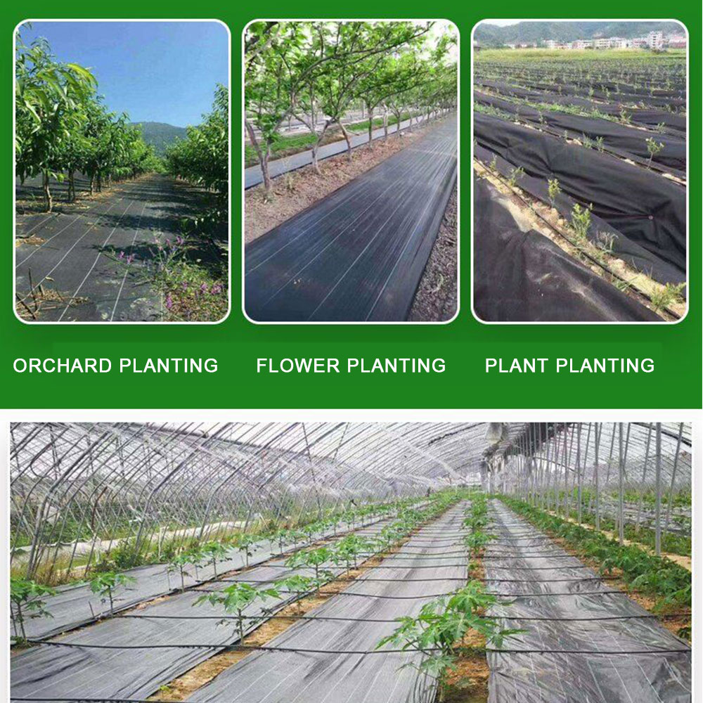 植物用雑草防除布,抗草,農業用マルチ布,温室除草マット,防水 - Smart Garden Greenhouse のレビューと価格