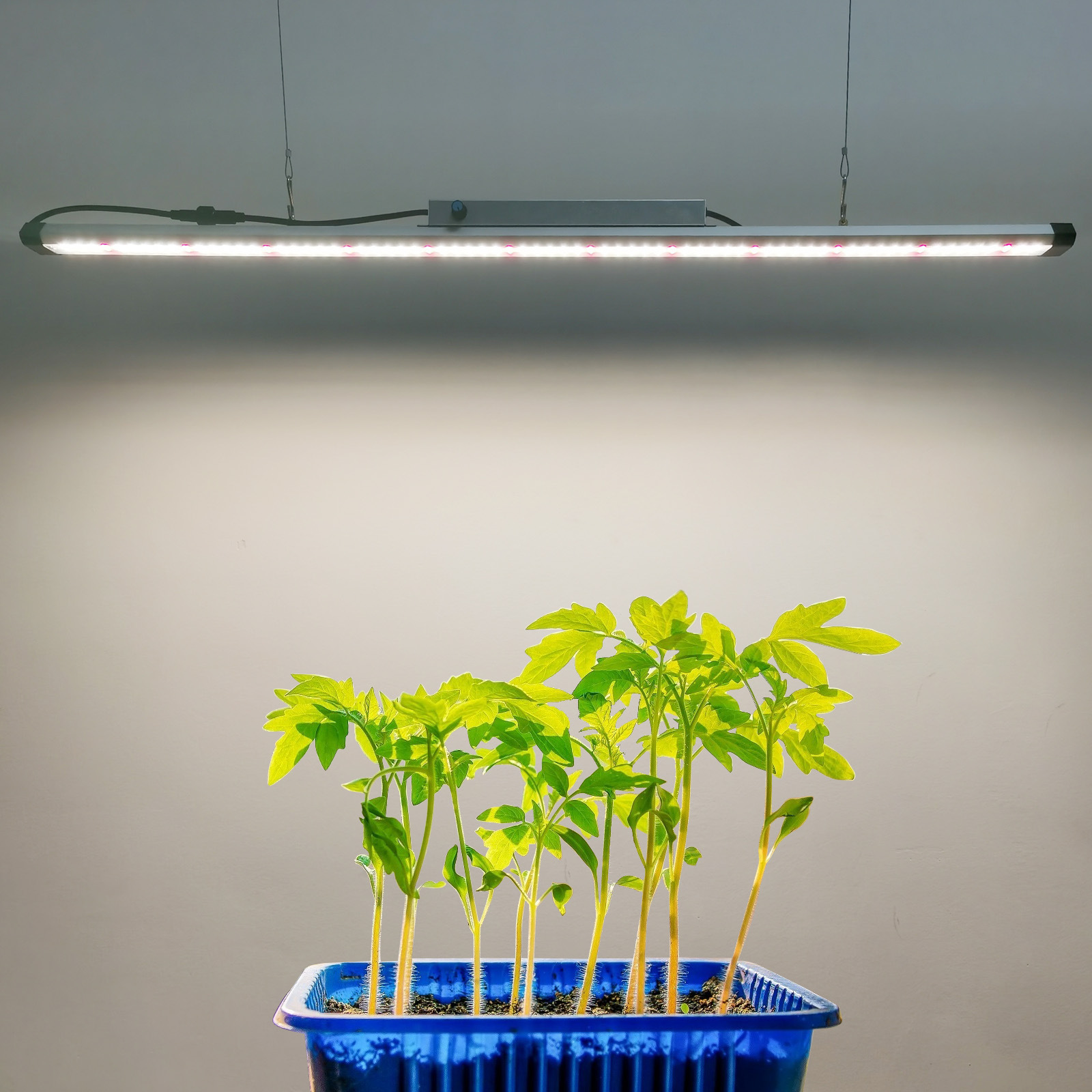 100W フルスペクトル LED グローライトバー – IP - Plant Grow Light Full Spectrum のレビューと価格