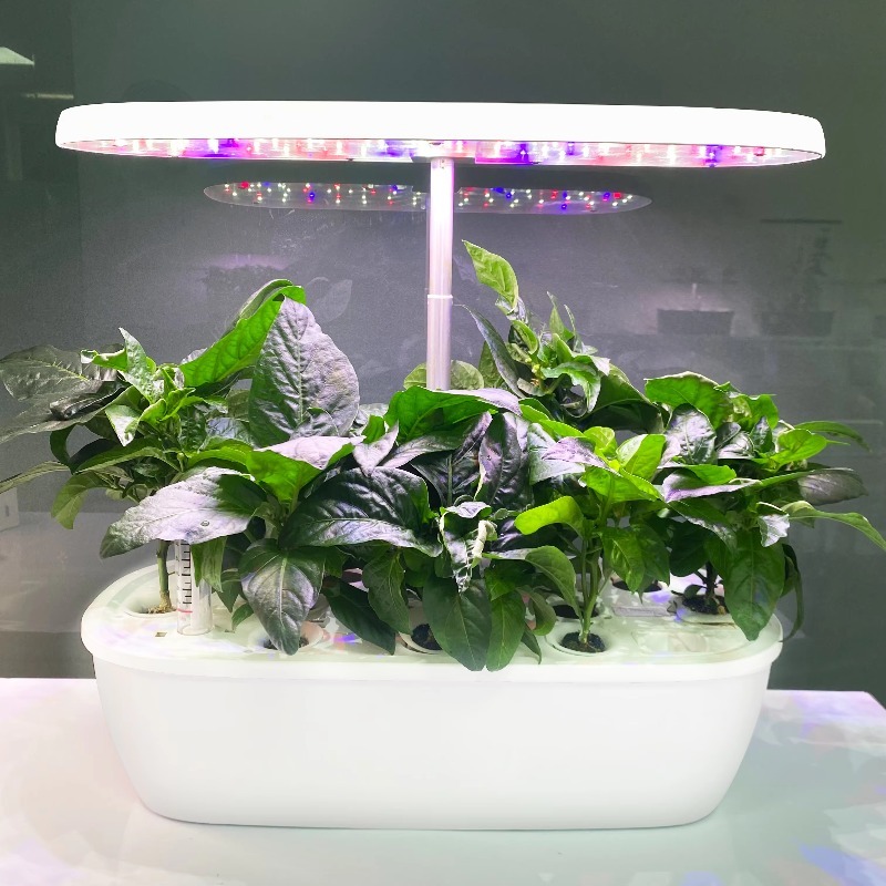 スマート電子室内水耕栽培システム高級住宅設計自社水耕栽培シス - Smart Garden Design のレビューと価格
