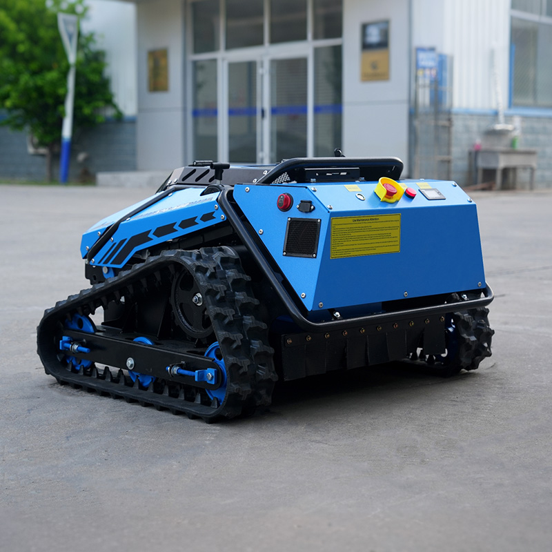 スマートホームガーデン向けのライダーカメラとGPSを搭載した - Smart Garden Robot のレビューと価格
