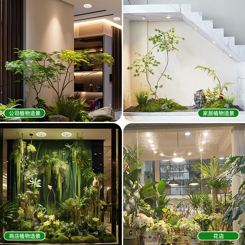 フルスペクトル調光可能フォーカスLED育成ライト、太陽光のよ - Plant Grow Light Full Spectrum のレビューと価格